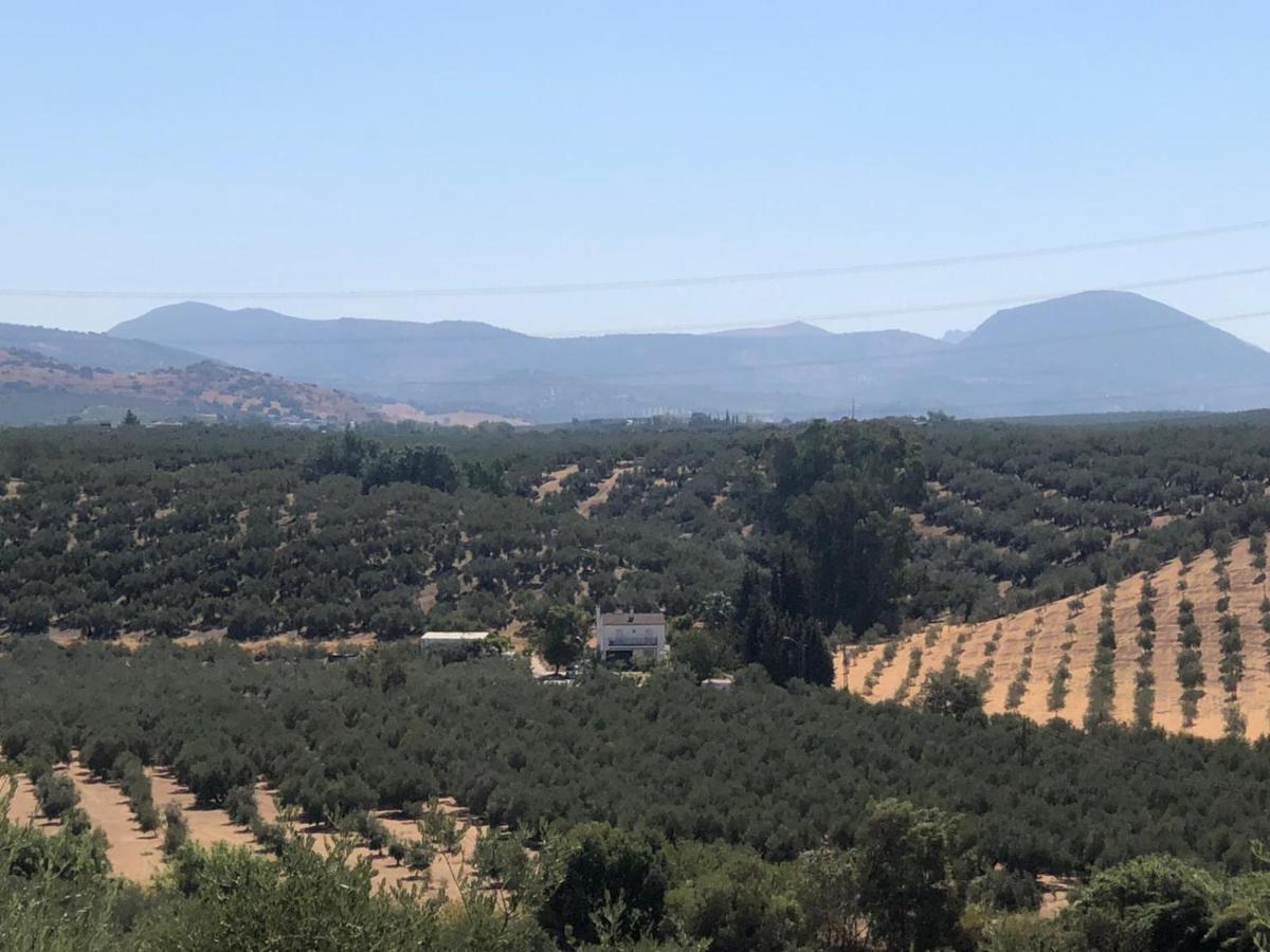 فيلا Cortijo Ribero قبرة المظهر الخارجي الصورة